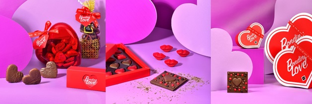 VALENTINE'S DAY COLLECTION OF CHOCOLATES